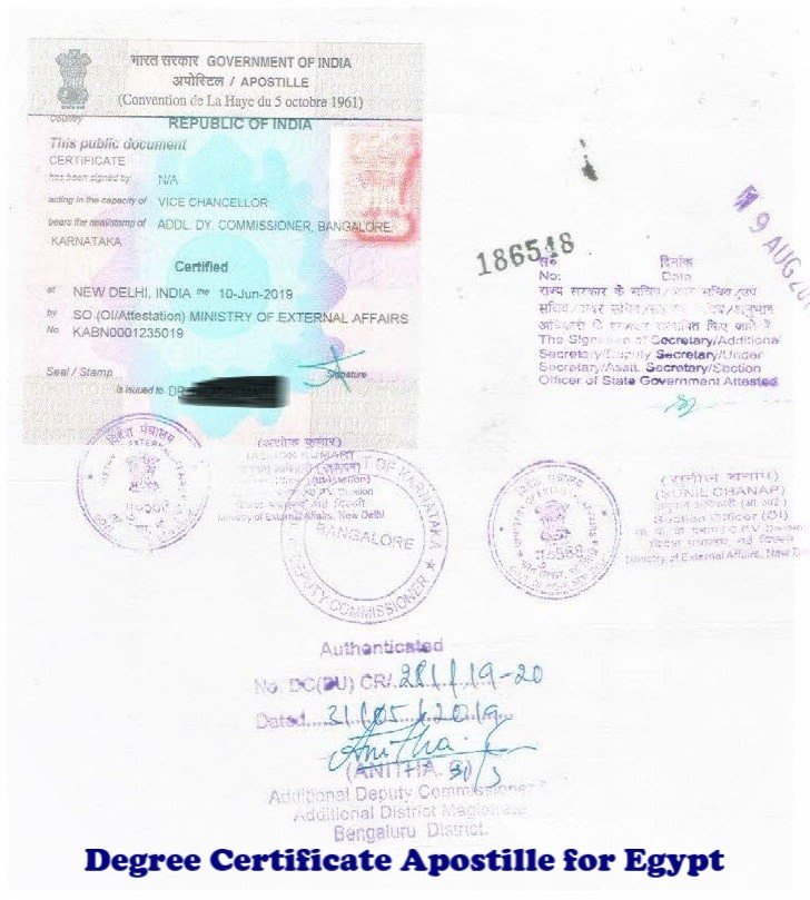 Degree Certificate Apostille for Egypt India